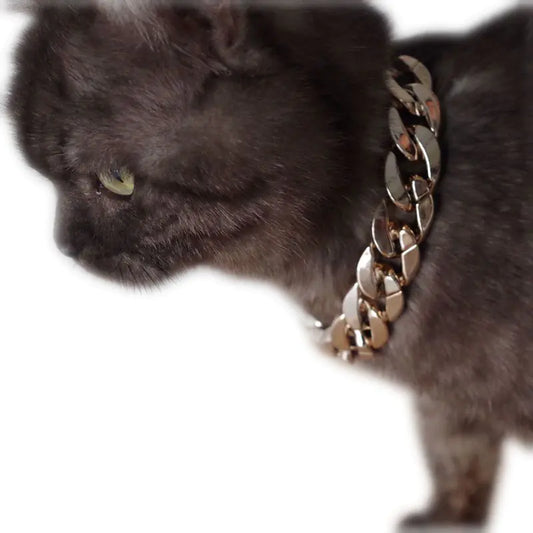 Pet Necklace Chain